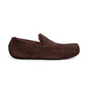 UGG Ascot Dusted Cocoa Slippers - Men's