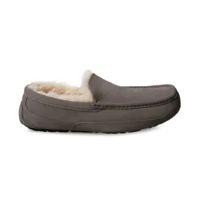 UGG Ascot Grey Slippers - Men's